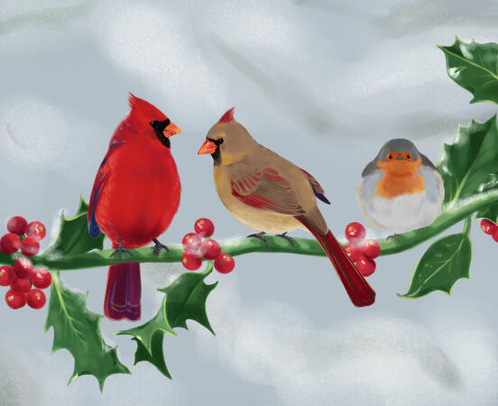 Christmas Cardinals, 2020 Christmas Cardinals, 2020